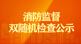 消防監督雙隨機檢查公示